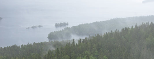 Traditional Karelian landscape with fog